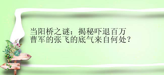 当阳桥之谜：揭秘吓退百万曹军的张飞的底气来自何处？