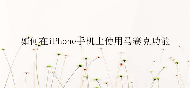 如何在iPhone手机上使用马赛克功能