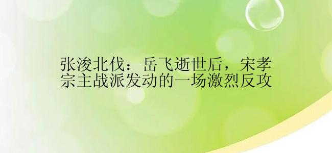 张浚北伐：岳飞逝世后，宋孝宗主战派发动的一场激烈反攻