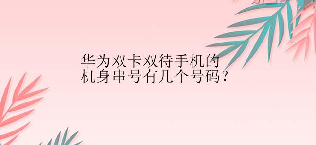 华为双卡双待手机的机身串号有几个号码？