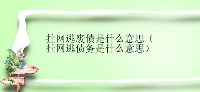 挂网逃废债是什么意思（挂网逃债务是什么意思）