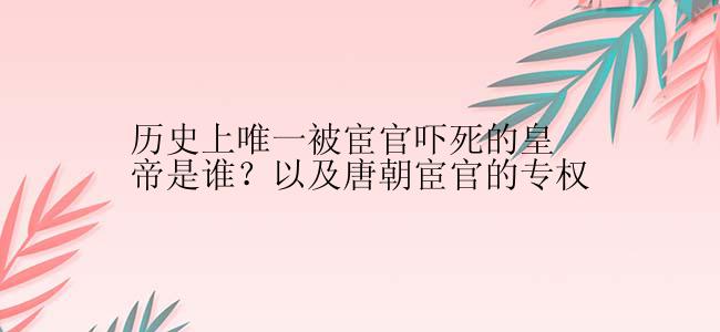 历史上唯一被宦官吓死的皇帝是谁？以及唐朝宦官的专权