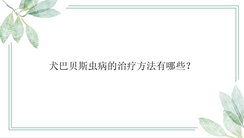 犬巴贝斯虫病的治疗方法有哪些？