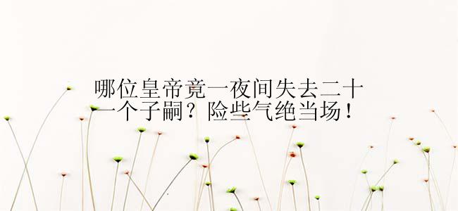 哪位皇帝竟一夜间失去二十一个子嗣？险些气绝当场！