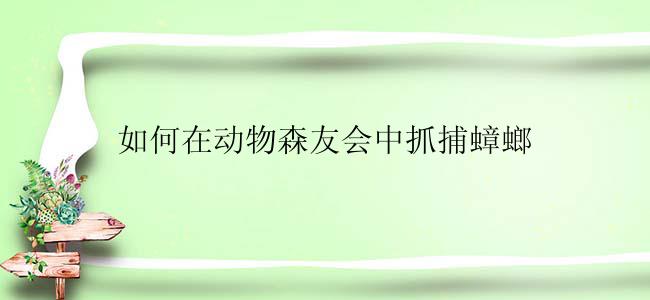 如何在动物森友会中抓捕蟑螂