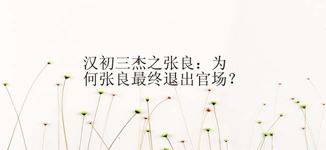 汉初三杰之张良：为何张良最终退出官场？