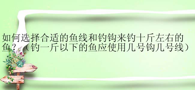 如何选择合适的鱼线和钓钩来钓十斤左右的鱼？（钓一斤以下的鱼应使用几号钩几号线）