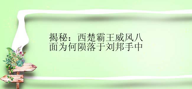 揭秘：西楚霸王威风八面为何陨落于刘邦手中