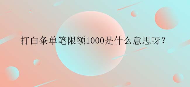 打白条单笔限额1000是什么意思呀？