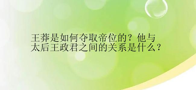 王莽是如何夺取帝位的？他与太后王政君之间的关系是什么？