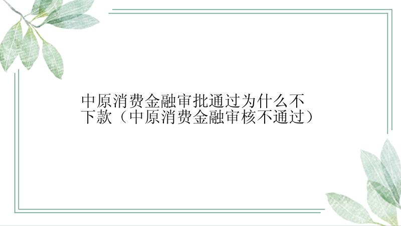 中原消费金融审批通过为什么不下款（中原消费金融审核不通过）