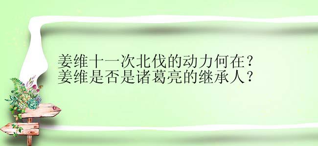 姜维十一次北伐的动力何在？姜维是否是诸葛亮的继承人？