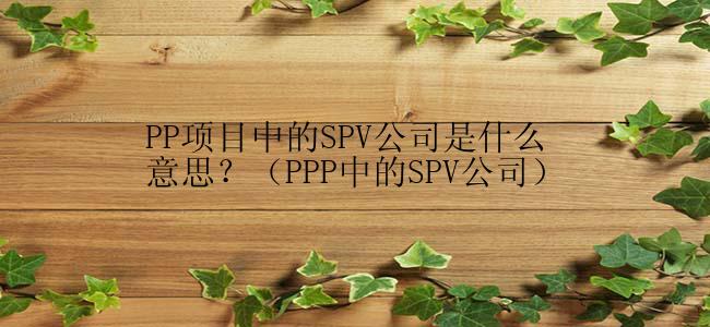 PP项目中的SPV公司是什么意思？（PPP中的SPV公司）