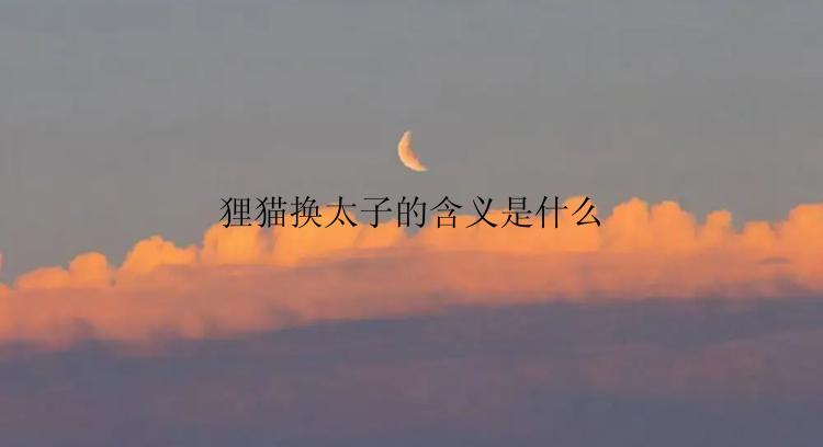 狸猫换太子的含义是什么