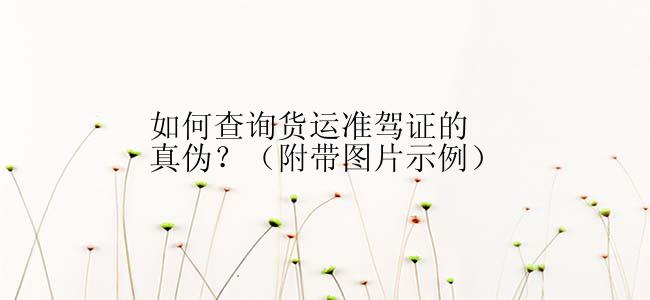 如何查询货运准驾证的真伪？（附带图片示例）