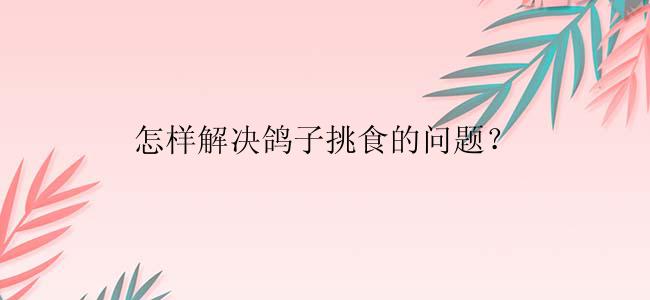 怎样解决鸽子挑食的问题？