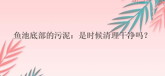 鱼池底部的污泥：是时候清理干净吗？