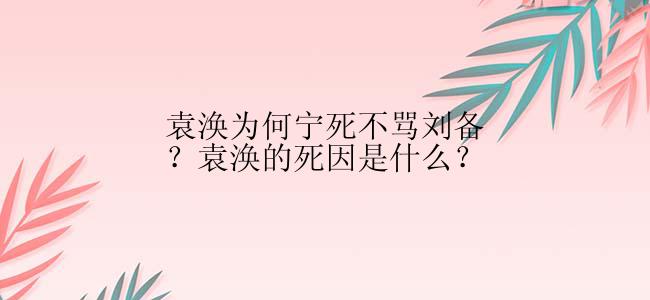 袁涣为何宁死不骂刘备？袁涣的死因是什么？