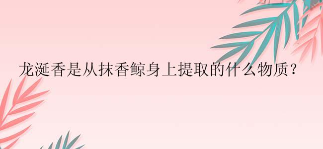 龙涎香是从抹香鲸身上提取的什么物质？