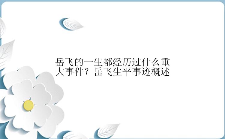 岳飞的一生都经历过什么重大事件？岳飞生平事迹概述