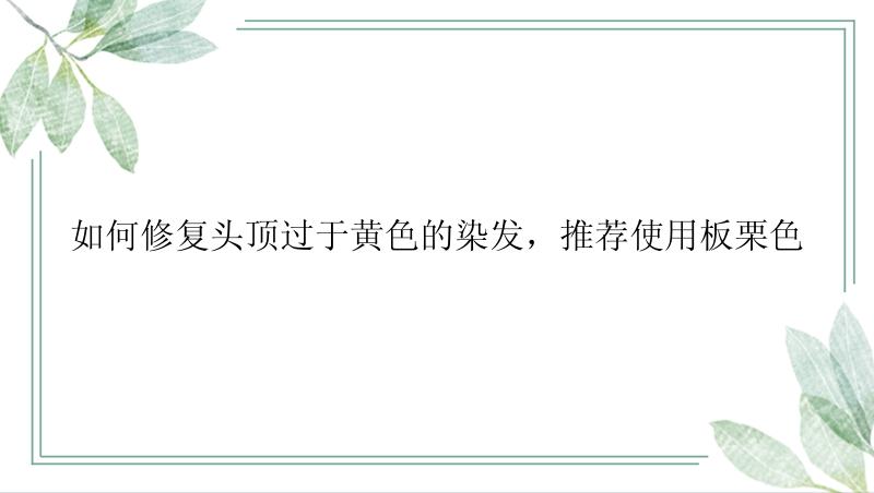 如何修复头顶过于黄色的染发，推荐使用板栗色