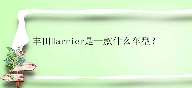 丰田Harrier是一款什么车型？