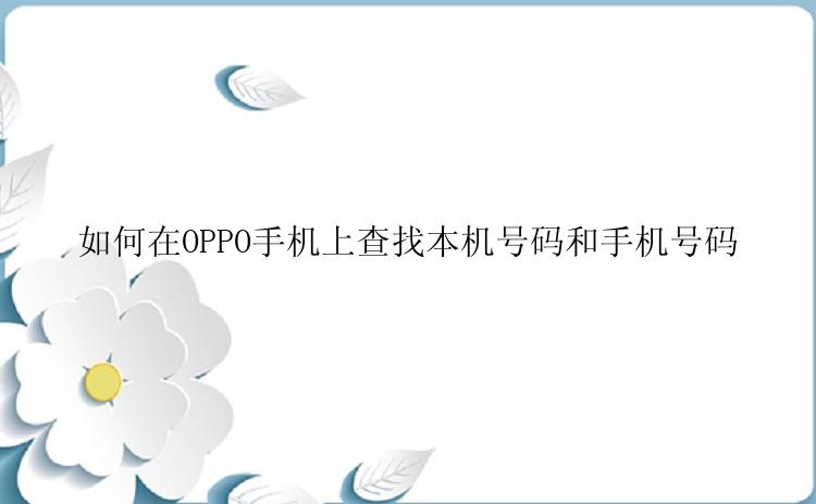 如何在OPPO手机上查找本机号码和手机号码