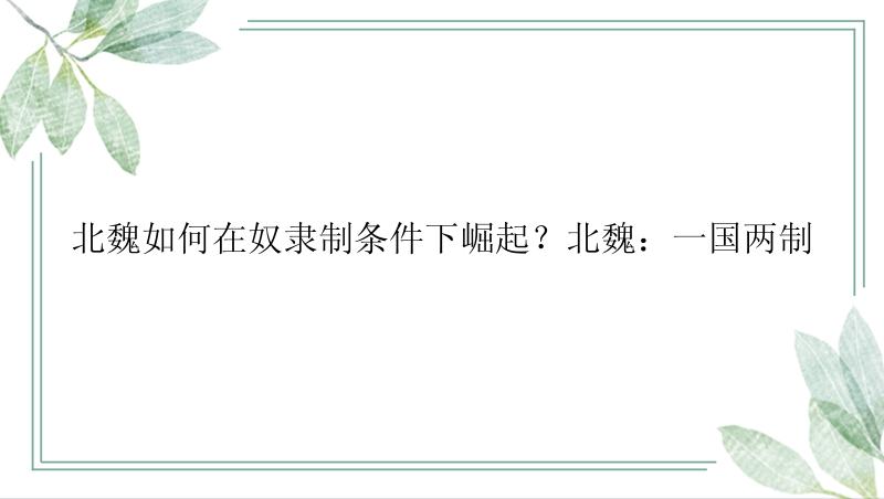 北魏如何在奴隶制条件下崛起？北魏：一国两制