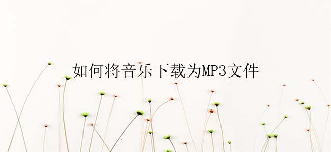 如何将音乐下载为MP3文件