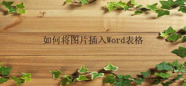 如何将图片插入Word表格