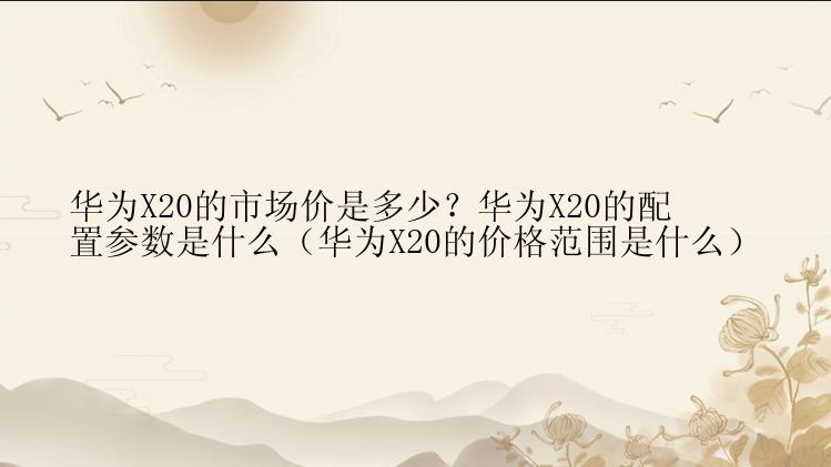 华为X20的市场价是多少？华为X20的配置参数是什么（华为X20的价格范围是什么）