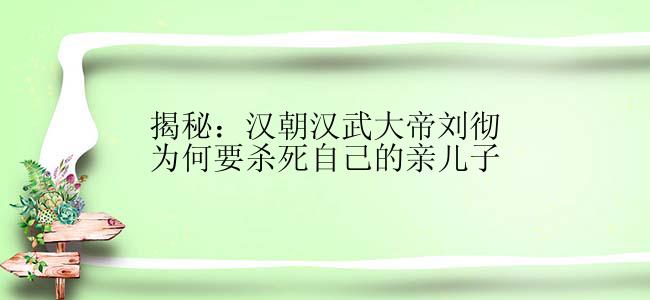 揭秘：汉朝汉武大帝刘彻为何要杀死自己的亲儿子