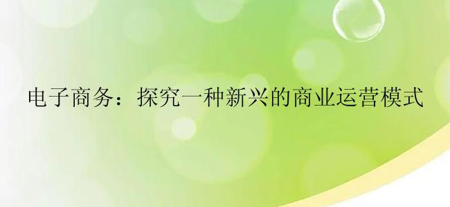 电子商务：探究一种新兴的商业运营模式