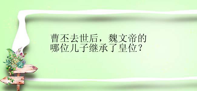 曹丕去世后，魏文帝的哪位儿子继承了皇位？