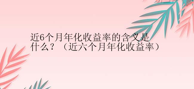 近6个月年化收益率的含义是什么？（近六个月年化收益率）