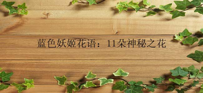 蓝色妖姬花语：11朵神秘之花