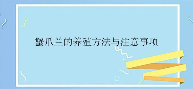 蟹爪兰的养殖方法与注意事项