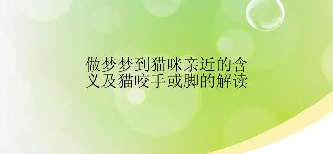 做梦梦到猫咪亲近的含义及猫咬手或脚的解读