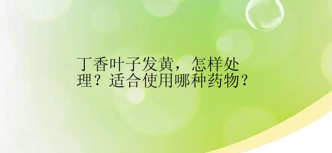 丁香叶子发黄，怎样处理？适合使用哪种药物？