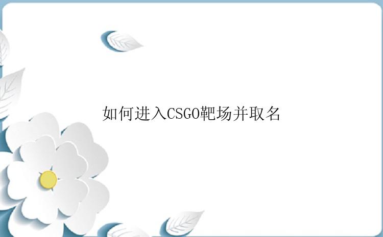 如何进入CSGO靶场并取名