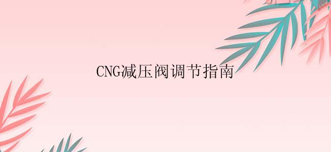 CNG减压阀调节指南