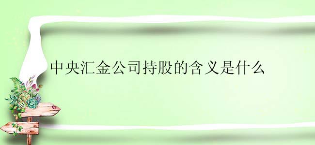 中央汇金公司持股的含义是什么