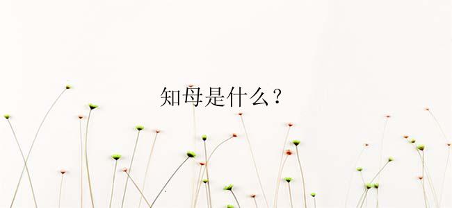 知母是什么？