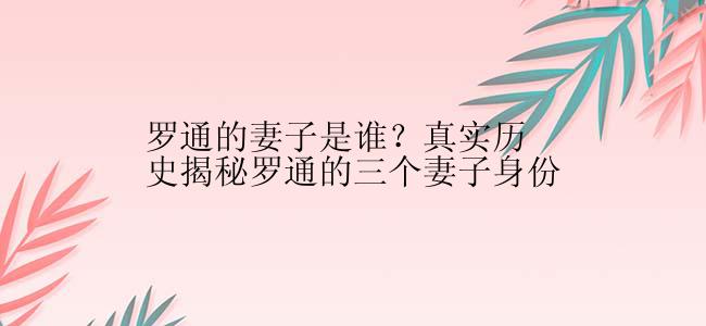 罗通的妻子是谁？真实历史揭秘罗通的三个妻子身份