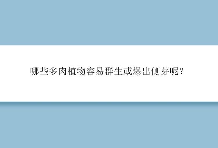 哪些多肉植物容易群生或爆出侧芽呢？