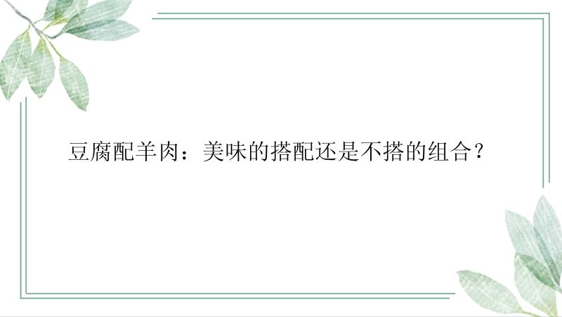 豆腐配羊肉：美味的搭配还是不搭的组合？