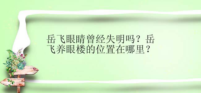 岳飞眼睛曾经失明吗？岳飞养眼楼的位置在哪里？