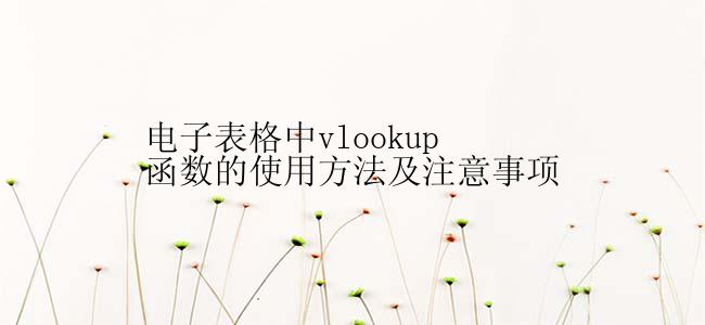 电子表格中vlookup函数的使用方法及注意事项