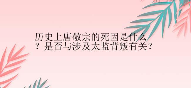 历史上唐敬宗的死因是什么？是否与涉及太监背叛有关？