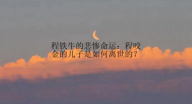 程铁牛的悲惨命运：程咬金的儿子是如何离世的？